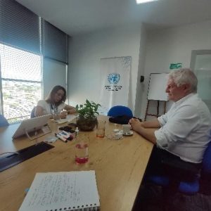 Onu de verificación